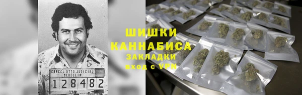 прущий лед Алзамай