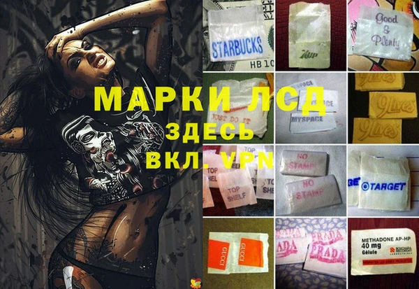 прущий лед Алзамай