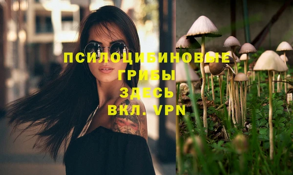прущий лед Алзамай