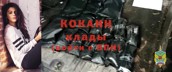 прущий лед Алзамай