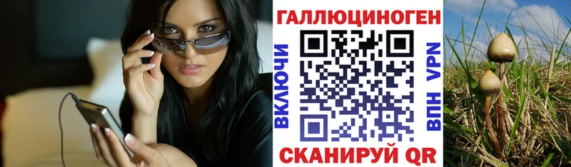 кракен вход  Кинель  Галлюциногенные грибы мицелий 