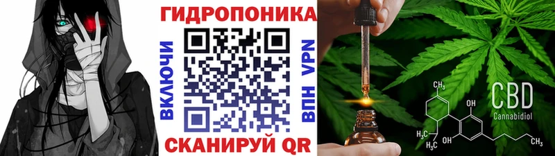 Бошки Шишки план Кинель